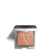 Sisley Highlighter Blush Lu0027Orchidee 01 -Beauty Verkoop 1072647